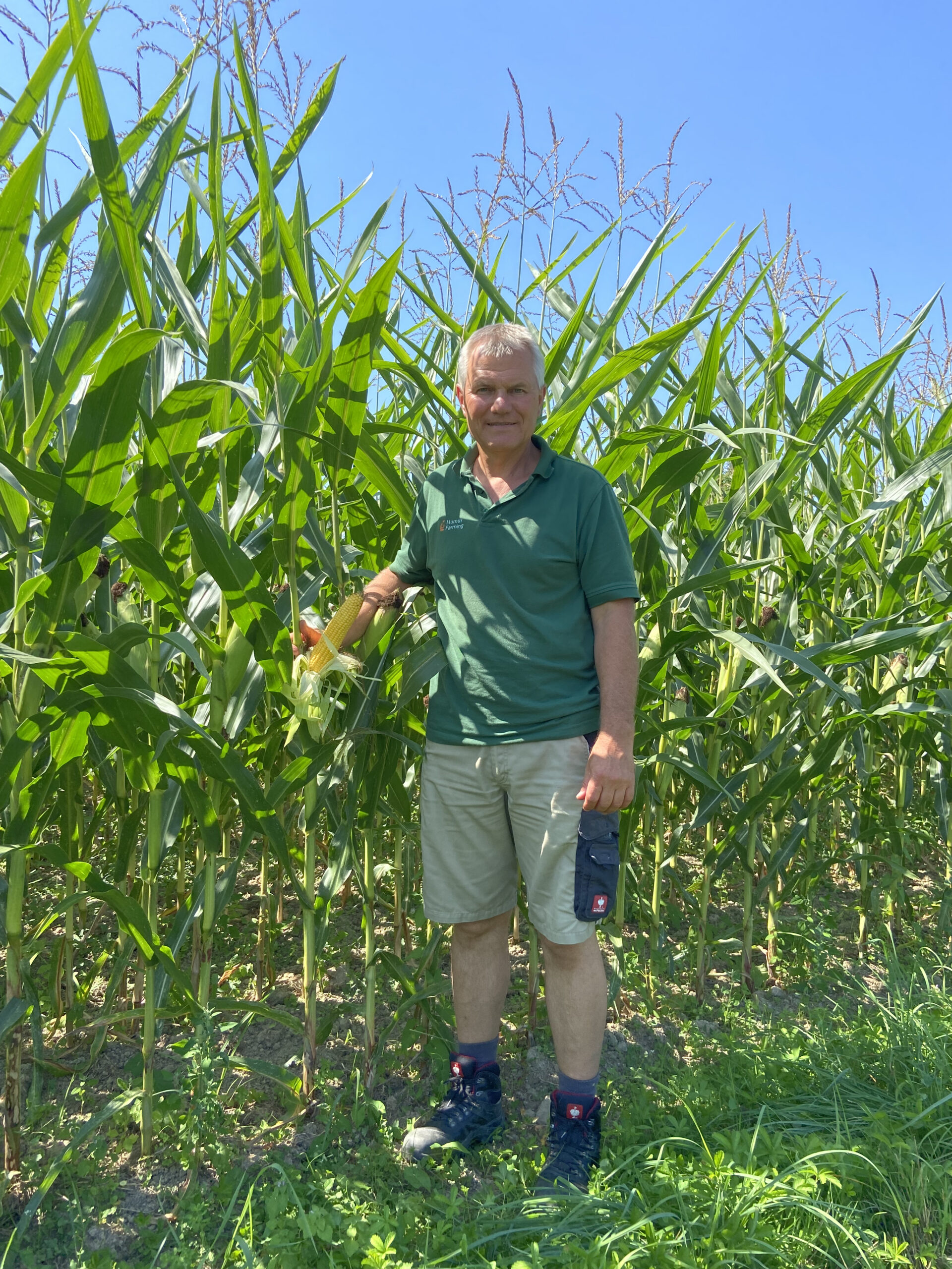 Humusfarming Friedrich Wenz Mais Sommer 2023