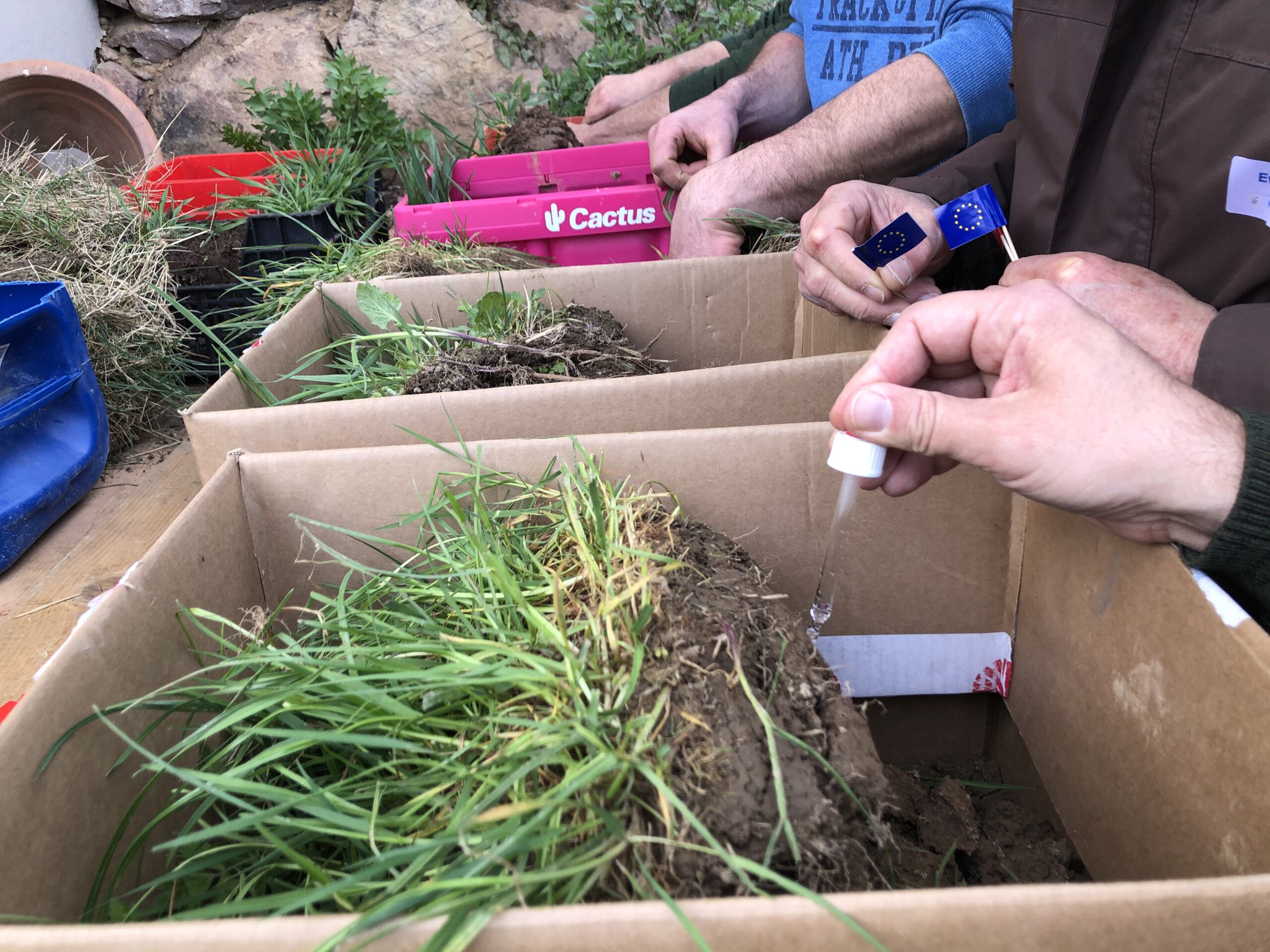 Carbonattest mit Salzsäure der Spatenprobe - Bodenansprache- Bodenkurs